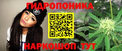 мескалин Гай