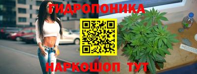 не бодяженный Гагарин